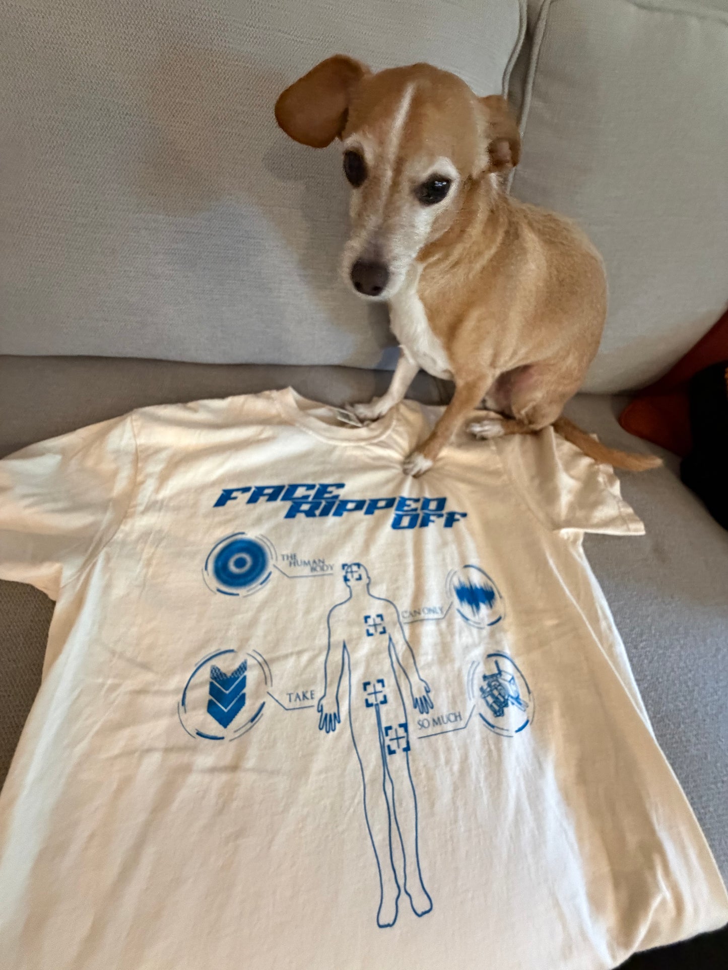 HUMAN BODY T SHIRT - BLUE/IVORY